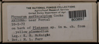 Image Associated With the Occurence